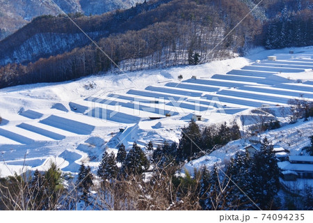 大寒の大池地区棚田 大寒の大池地区棚田 74094235