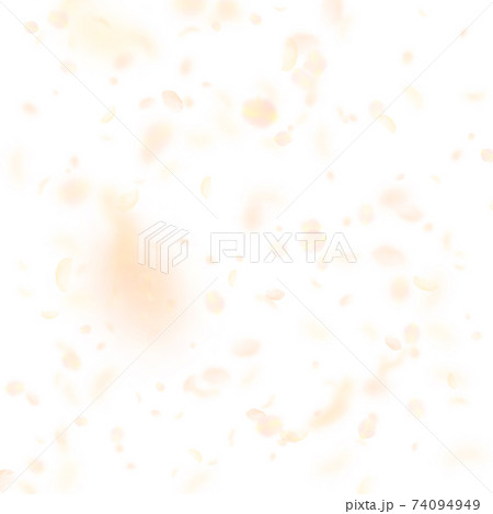 Yellow orange flower petals falling down. Valuable Yellow orange flower petals falling down. Valuable 74094949
