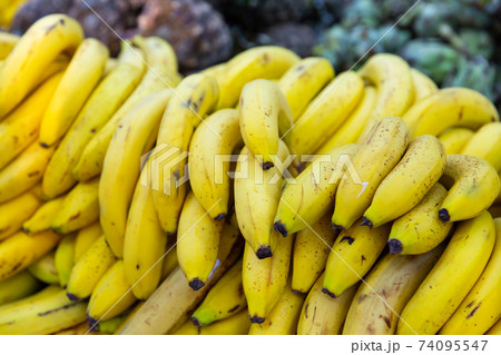 mature dessert bananas in basket on counter in market mature dessert bananas in basket on counter in market 74095547