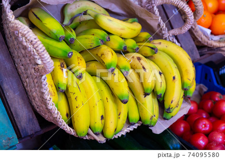 mature dessert bananas in basket on counter in market mature dessert bananas in basket on counter in market 74095580