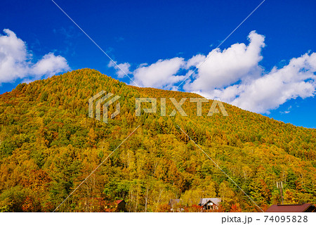 乗鞍高原の紅葉 74095828