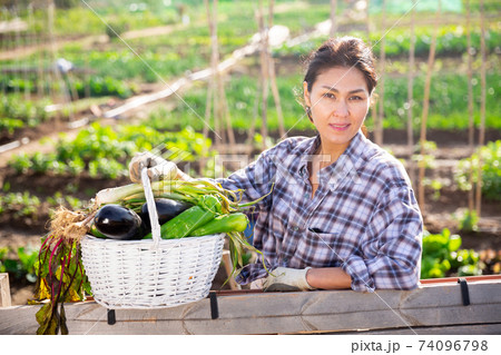Cheerful asian woman with vegetable harvest in backyard garden 74096798