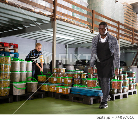 Workers store plastic containers with ripe olives in factory Workers store plastic containers with ripe olives in factory 74097016