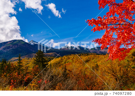乗鞍高原　オオカエデと乗鞍岳　【長野県】 74097280