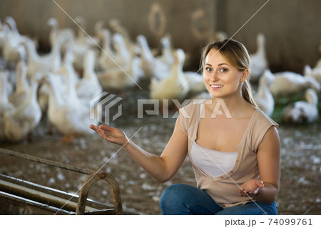 Farmer posing inside with ducks 74099761