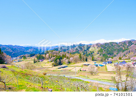 春の山村風景（長野県小川村） 74101501