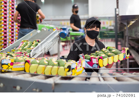 Female employee keeping avocado box 74102091