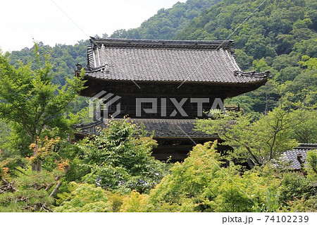 臥龍山行基寺・44(浄土宗;西美濃三十三霊場・27番)(岐阜県海津市) 臥龍山行基寺・44(浄土宗;西美濃三十三霊場・27番)(岐阜県海津市) 74102239