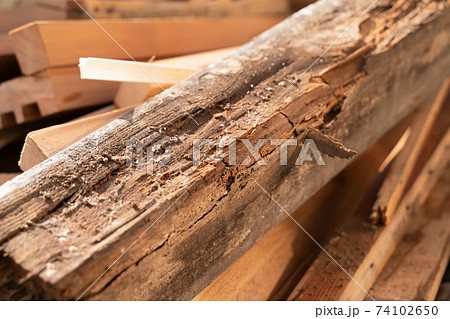 建築　リフォーム素材　築40年住宅　シロアリで劣化した柱　実例 74102650