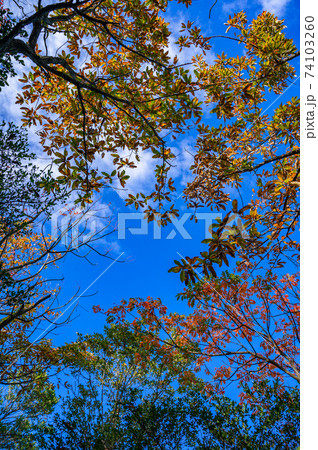 香川県、豊島、海、快晴 74103260