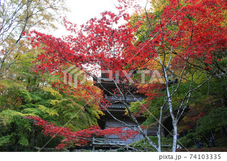 丹波 高源寺の紅葉風景 【兵庫県】 丹波 高源寺の紅葉風景 【兵庫県】 74103335