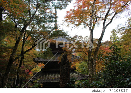 丹波　高源寺の紅葉風景　【兵庫県】 74103337