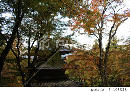 丹波 高源寺の紅葉風景 【兵庫県】 丹波 高源寺の紅葉風景 【兵庫県】 74103338