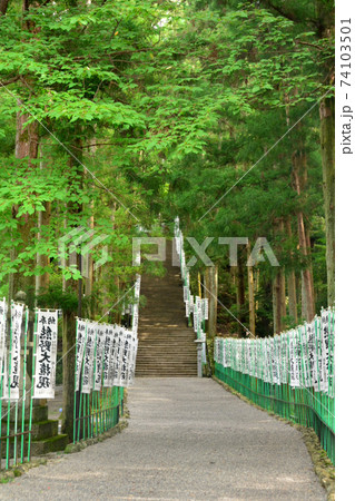 熊野本宮大社 参道 熊野本宮大社 参道 74103501