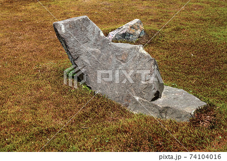 臥龍山行基寺・70(浄土宗:西美濃三十三霊場・27番)(岐阜県海津市) 臥龍山行基寺・70(浄土宗:西美濃三十三霊場・27番)(岐阜県海津市) 74104016