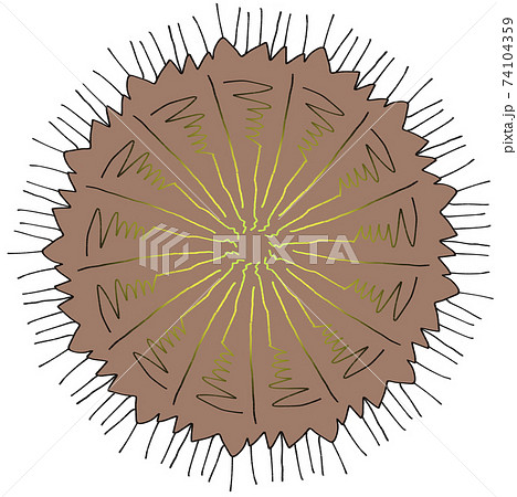 スパイク状の突起の付いた茶色いウイルスや病原体のイメージ素材のイラスト素材