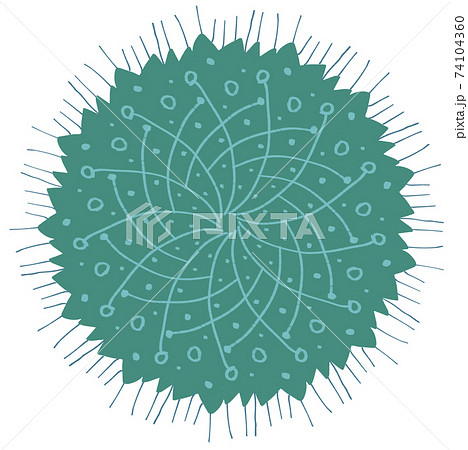 スパイク状の突起の付いた緑色のウイルスや花粉のイメージ素材のイラスト素材