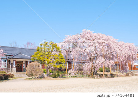 杵原学校（春）：長野県飯田市 74104481