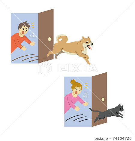家から脱走する犬と猫のイラストのイラスト素材