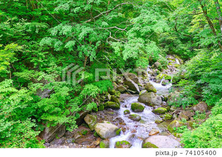 6月下旬福島県喜多方国道121号大峠トンネル前の滝 6月下旬福島県喜多方国道121号大峠トンネル前の滝 74105400