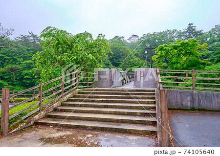 6月下旬栃木県那須塩原市 6月下旬栃木県那須塩原市 74105640