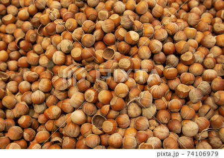 Forest nut background. Full and half of hazelnuts on white background top view. Isolated 74106979