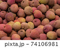 lichee, Litchi fruits, Scientific name Lichi chinensis Sonn 74106981