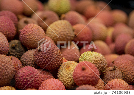 lichee, Litchi fruits, Scientific name Lichi chinensis Sonn 74106983