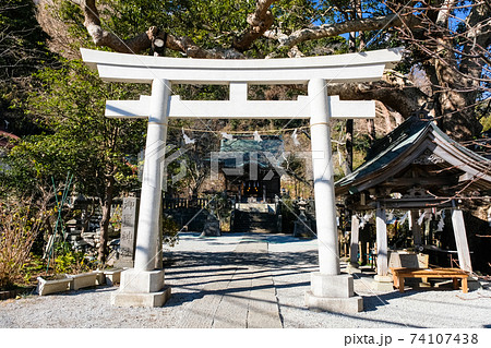 神奈川県鎌倉市 御霊神社(権五郎神社) 神奈川県鎌倉市 御霊神社(権五郎神社) 74107438