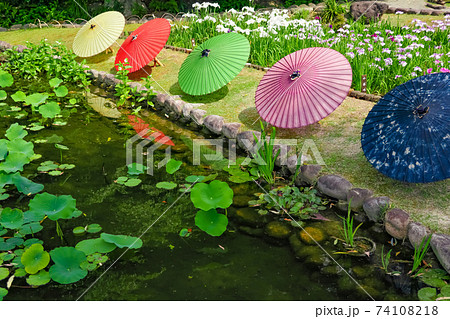 徳川園、花菖蒲と和傘〈愛知県名古屋市〉 徳川園、花菖蒲と和傘〈愛知県名古屋市〉 74108218