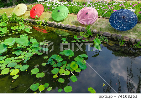徳川園、花菖蒲と和傘〈愛知県名古屋市〉 徳川園、花菖蒲と和傘〈愛知県名古屋市〉 74108263