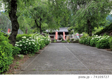 臨済宗妙心寺派：阿梨耶山弓削寺・27（岐阜県揖斐郡池田町：池田山西麓） 74109727