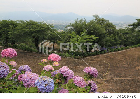 臨済宗妙心寺派：阿梨耶山弓削寺・29（岐阜県揖斐郡池田町：池田山西麓） 74109730