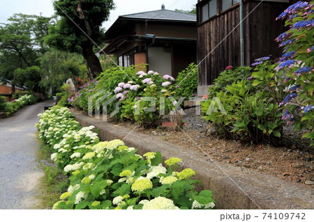 臨済宗妙心寺派：阿梨耶山弓削寺・34（岐阜県揖斐郡池田町：池田山西麓） 74109742
