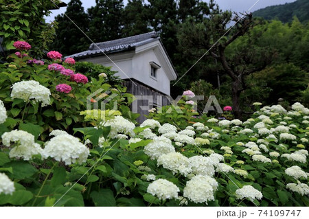 臨済宗妙心寺派:阿梨耶山弓削寺・36(岐阜県揖斐郡池田町:池田山西麓) 臨済宗妙心寺派:阿梨耶山弓削寺・36(岐阜県揖斐郡池田町:池田山西麓) 74109747