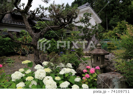 臨済宗妙心寺派：阿梨耶山弓削寺・38（岐阜県揖斐郡池田町：池田山西麓） 74109751