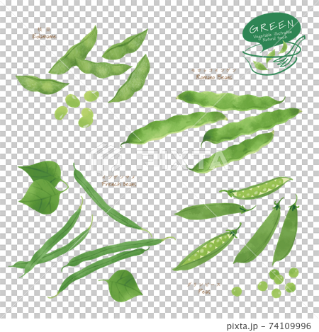 青豆/拼盤/手繪風格插畫 74109996