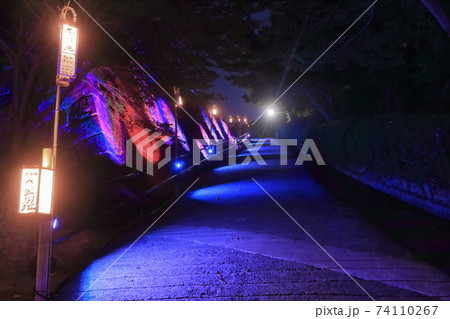 【香川県】丸亀城の夜景(見返り坂イルミネーション) 【香川県】丸亀城の夜景(見返り坂イルミネーション) 74110267