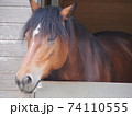 馬 74110555