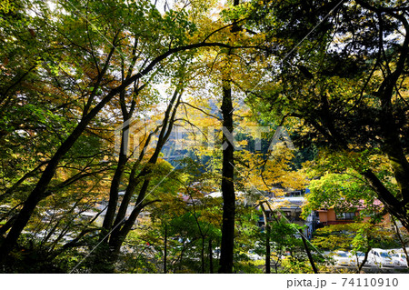 群馬県 秋 中之条町 四万温泉の紅葉 群馬県 秋 中之条町 四万温泉の紅葉 74110910