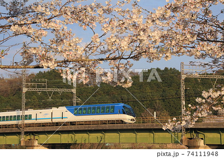 近鉄大阪線で桜を横目に通過する特急列車 74111948