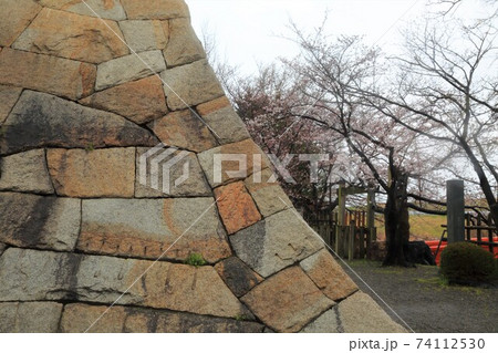 桜咲く一夜城・6(岐阜県大垣市墨俣) 桜咲く一夜城・6(岐阜県大垣市墨俣) 74112530