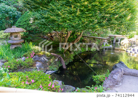 報国寺　幻想的な竹林と美味しい抹茶を堪能できる鎌倉のお寺 74112944