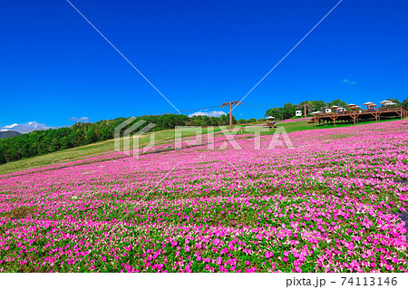 絶景の高原リゾート、ひるがのピクニックガーデン〈岐阜県郡上市〉 74113146
