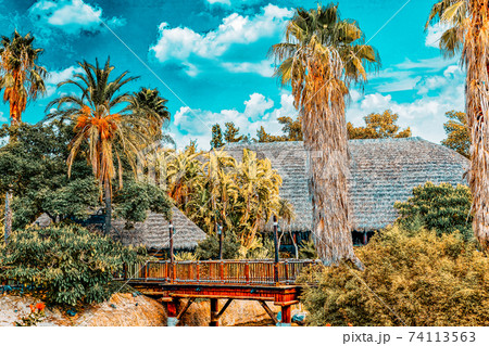 Beautiful landscape of humid tropical jungle. Beautiful landscape of humid tropical jungle. 74113563