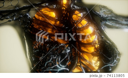 human body scan with glowing lungs and trachea 74113805