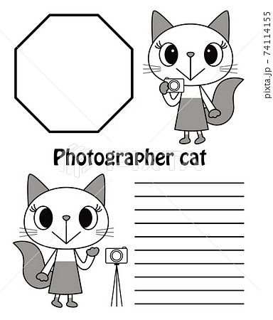 フォトグラファーの可愛いネコさん キャラクター イラスト ベクター 74114155