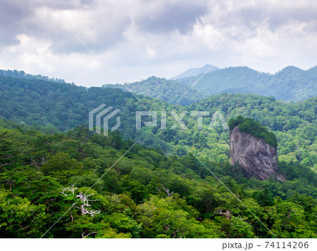 宮崎県九州最後の秘境大崩山登山 宮崎県九州最後の秘境大崩山登山 74114206