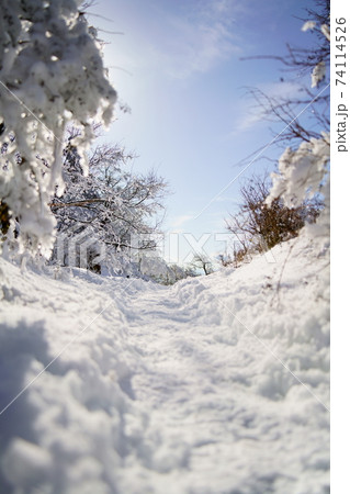 雪に包まれた大山（阿夫利山）の登山道の風景 74114526