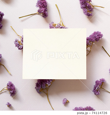 Empty memo note with dry statice flowers on purple background. Floral composition, flat lay, top view, copy space Empty memo note with dry statice flowers on purple background. Floral composition, flat lay, top view, copy space 74114726
